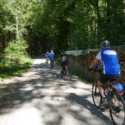 066 Endlich wieder im Schatten